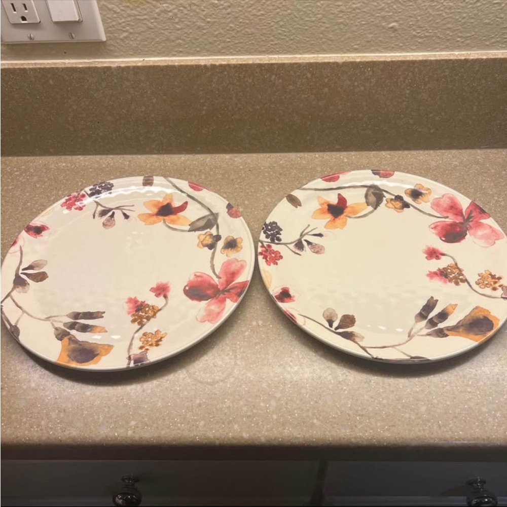 ⭐️ Cream and Red Floral Melamine Dinnerware Plates